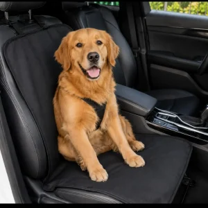 Cubierta de asiento para auto